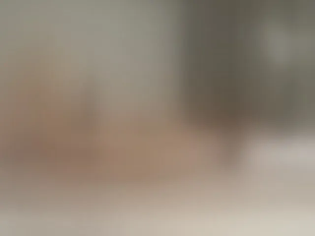 Live sex webcam photo for Vikki100500 #290864240
