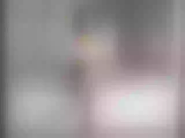 Live sex webcam photo for Vikki100500 #292230721