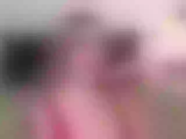 Live sex webcam photo for VikkiRood #292136154