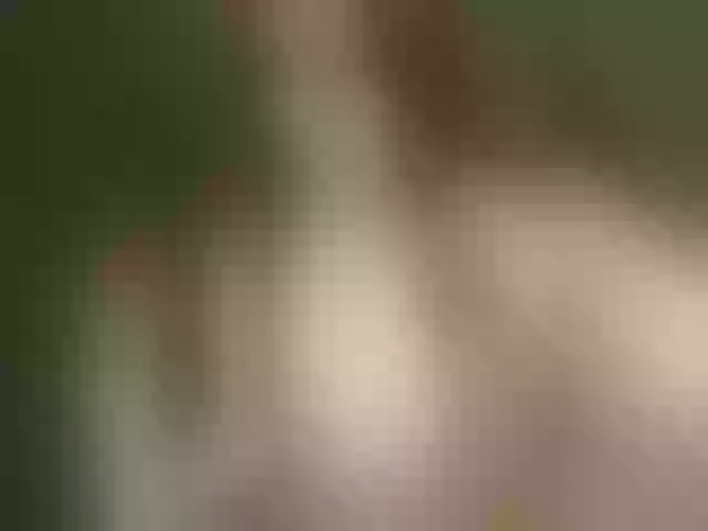 Live sex webcam photo for ViktoriaLeoAn #276403889