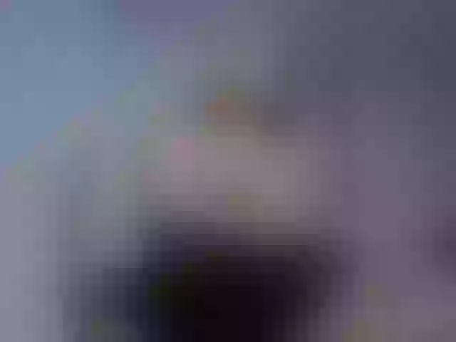 Live sex webcam photo for ViktoryaHerme #274380496