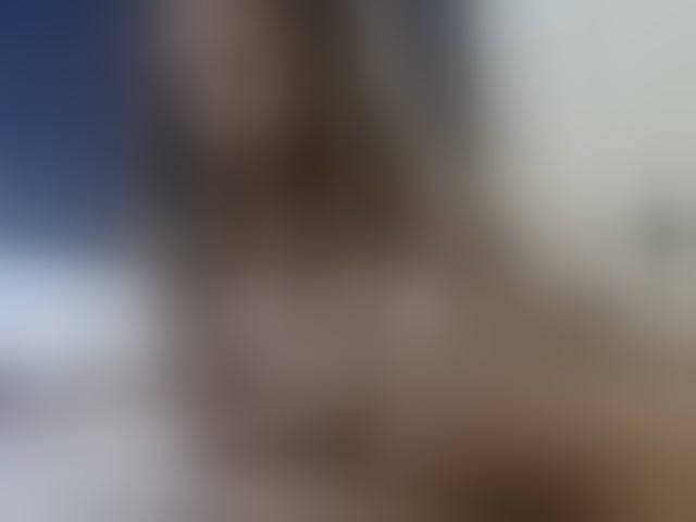 Live sex webcam photo for Vinsishly11 #294118589