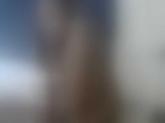 Live sex webcam photo for Vinsishly11 #294148044