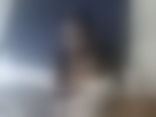 Live sex webcam photo for Vinsishly11 #294198805