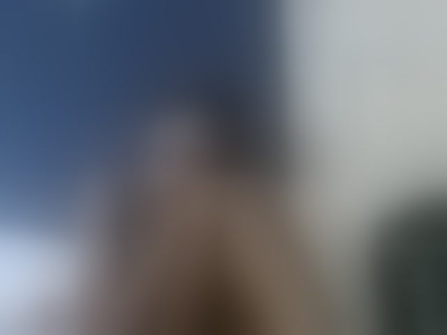 Live sex webcam photo for Vinsishly11 #294207814
