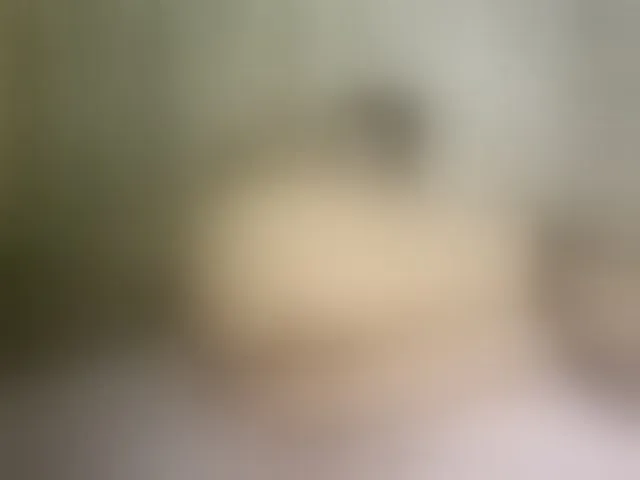 Live sex webcam photo for Viola18a #293383392
