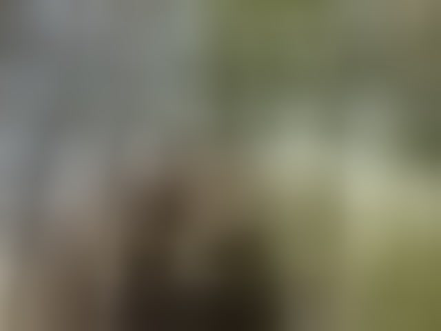 Live sex webcam photo for Viola18a #293821688