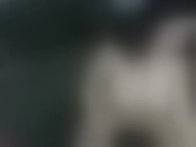 Live sex webcam photo for Violet888 #292742582