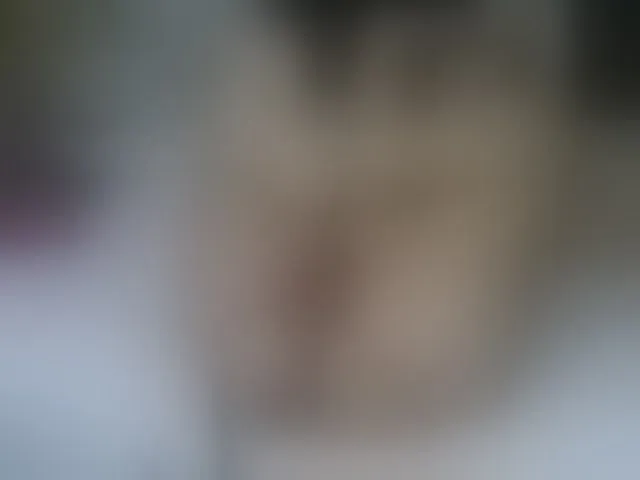 Live sex webcam photo for Violet888 #292770309