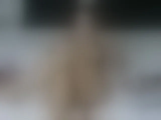 Live sex webcam photo for Violet888 #292778350