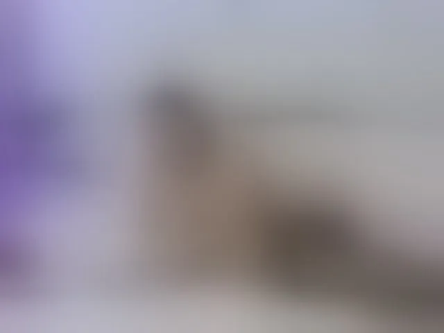 Live sex webcam photo for Violet888 #293055689