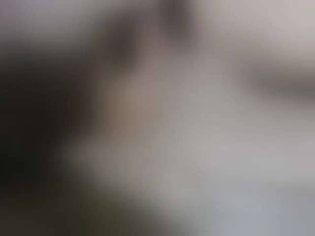 Live sex webcam photo for Violet888 #293903128