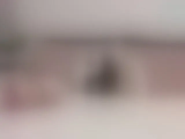 Live sex webcam photo for Violet888 #294113450