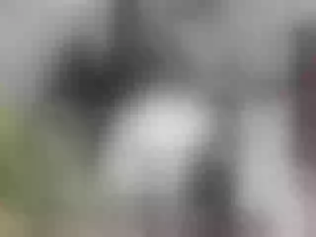 Live sex webcam photo for VioletNice #290422141
