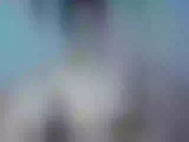 Live sex webcam photo for Violeta-Leea #275546141