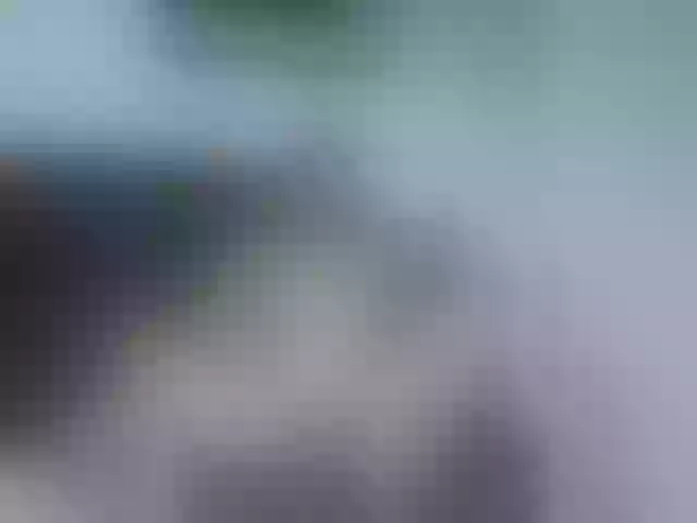 Live sex webcam photo for Violeta-Leea #275571125