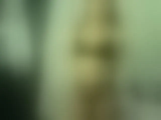 Live sex webcam photo for Violetsmmithh #293057388