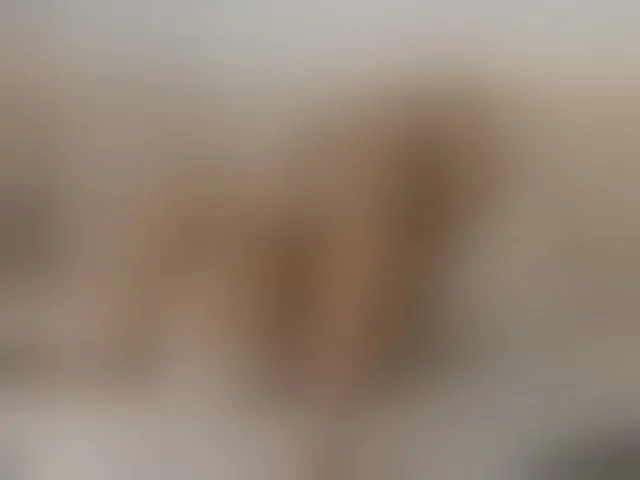 Live sex webcam photo for ViolettaBecker #292668620