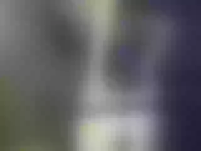 Live sex webcam photo for VioricaRoss #290031063
