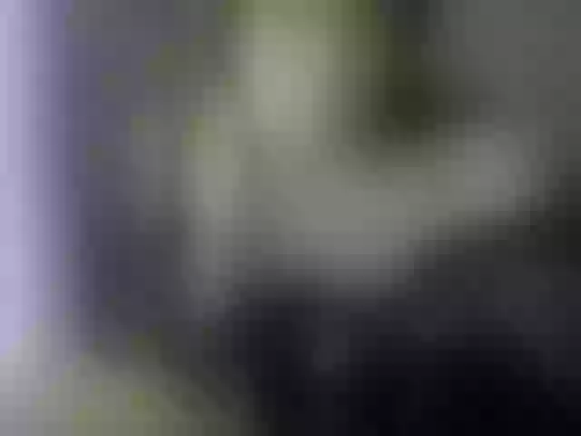 Live sex webcam photo for VioricaRoss #290715965