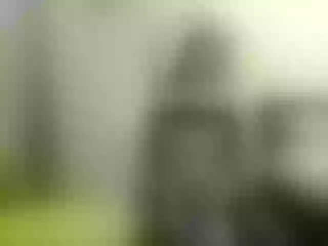 Live sex webcam photo for VioricaRoss #290788608