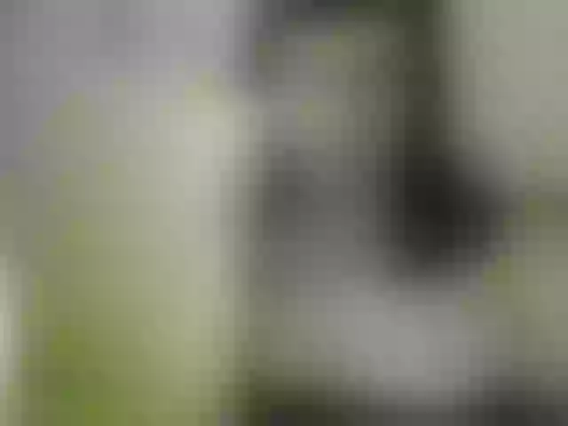 Live sex webcam photo for VioricaRoss #291063426