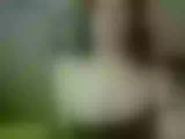 Live sex webcam photo for VioricaRoss #291096488