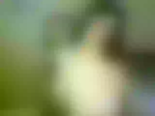 Live sex webcam photo for VioricaRoss #291172807
