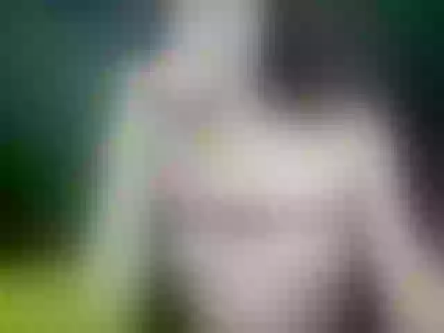 Live sex webcam photo for VioricaRoss #291201223