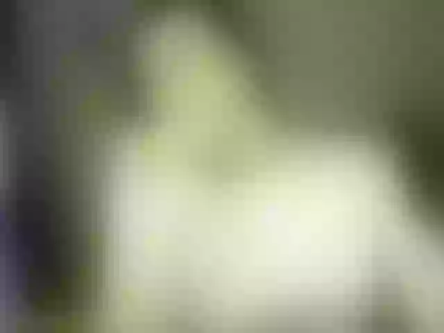 Live sex webcam photo for VioricaRoss #291237421