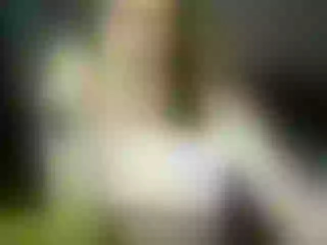 Live sex webcam photo for VioricaRoss #291259400