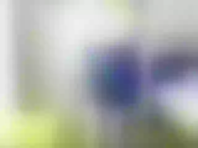 Live sex webcam photo for VioricaRoss #291500366