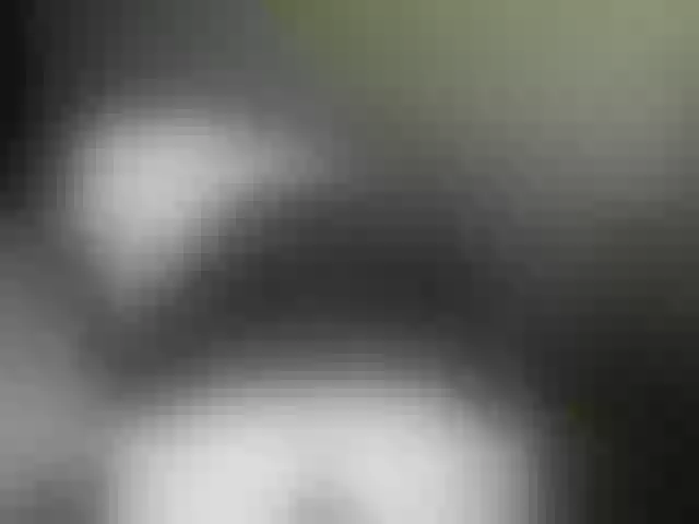 Live sex webcam photo for VioricaRoss #291807385