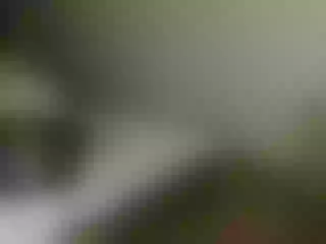Live sex webcam photo for VioricaRoss #291840312