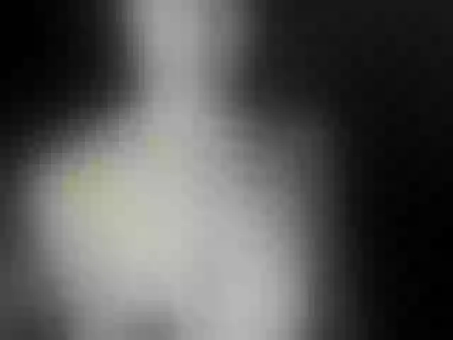 Live sex webcam photo for VioricaRoss #292109993