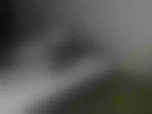 Live sex webcam photo for VioricaRoss #292116975