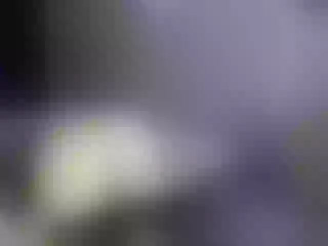 Live sex webcam photo for VioricaRoss #292235942