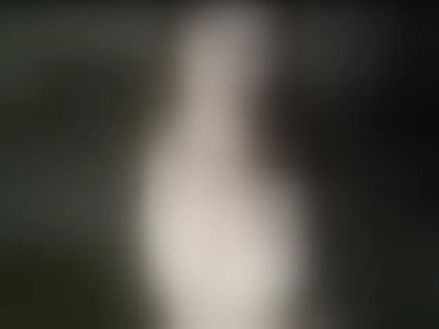 Live sex webcam photo for VioricaRoss #293955871