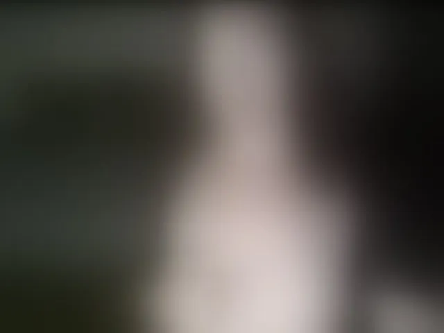 Live sex webcam photo for VioricaRoss #293985107