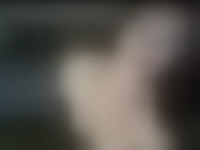 Live sex webcam photo for VioricaRoss #293991452