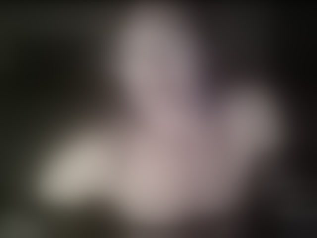 Live sex webcam photo for VioricaRoss #293998907