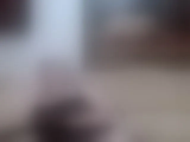 Live sex webcam photo for VishenkaStar #292585579