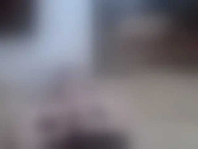 Live sex webcam photo for VishenkaStar #293581318