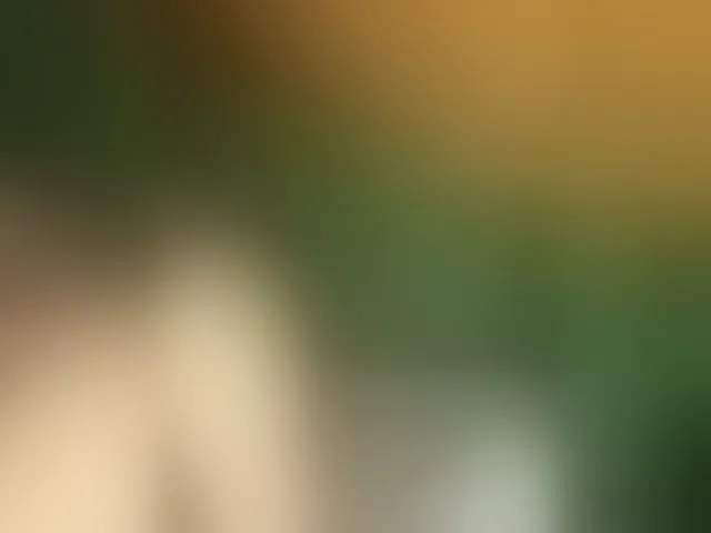 Live sex webcam photo for Vishenkakiss #294019147