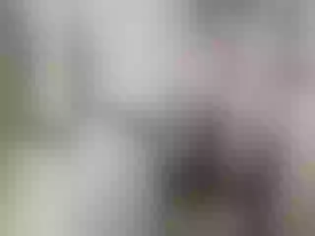 Live sex webcam photo for Vivacut #277289855