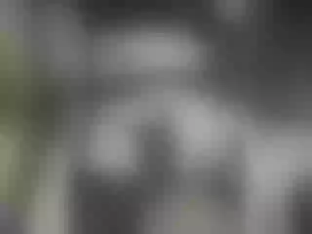 Live sex webcam photo for Vivacut #290701509