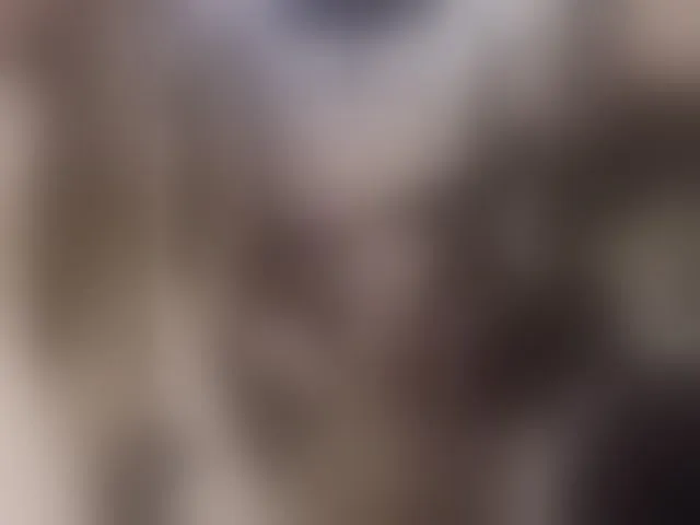 Live sex webcam photo for Vivacut #292909096