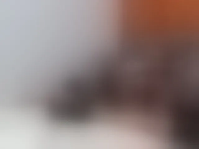 Live sex webcam photo for ViviannaJhonson #292265423
