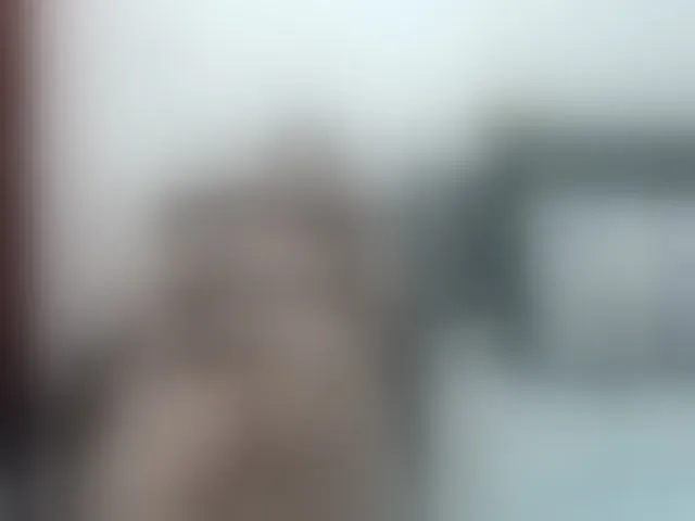 Live sex webcam photo for ViviannaJhonson #293971828