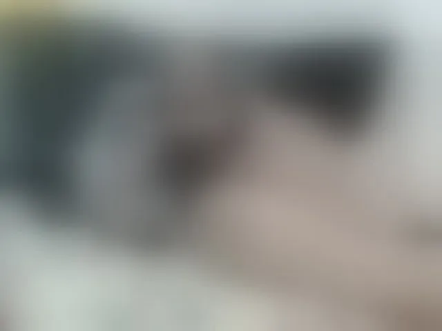 Live sex webcam photo for ViviannaJhonson #294009916